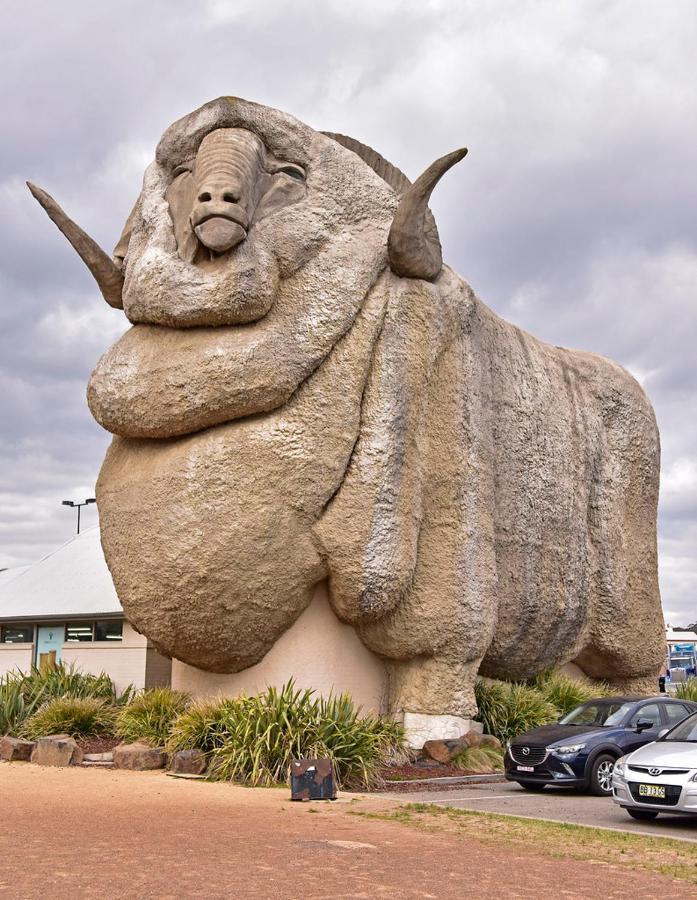 Goulburn Motor Inn エクステリア 写真